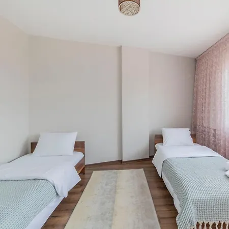 Centrally Located 2 Bedroom Apt With Netflix Apartment *